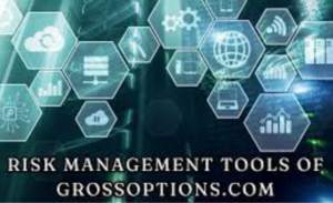 grossoptions.com